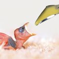 thumbnail image 5 of 6PCS Feeding Spoon for All Baby Bird Cockatiel Beak-Imitation Spoon Metal Feeding Spoon, 5 of 9