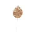 thumbnail image 6 of 32" Tall Spear Dried Plant Natural Foliage Bouquet with Sharp Stems, by DecMode, 6 of 9