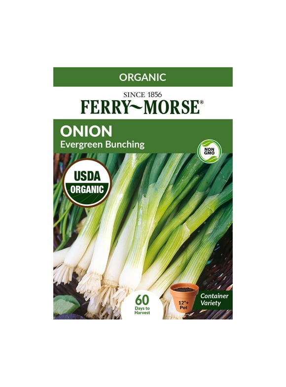 Onion Seeds in Seed Gardening