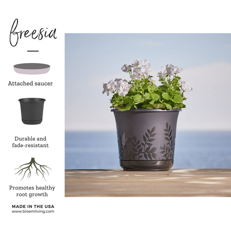 Bloem Freesia Planter w/Saucer 12 Bloem Freesia Planter w/Saucer 12