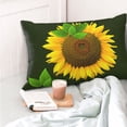 thumbnail image 4 of Goofa Sunflower3 Print Plush Throw Pillow Case, Soft Velvet with Hidden Zipper, Decorative Cushion Cover for Sofa, Bed, Car, and Home Décor-14"x20", 4 of 6