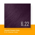 thumbnail image 5 of GK HAIR 6.22 Hair Color Cream Tube 3.4 Fl Oz + 20 Volume Developer 5 Fl Oz - Professional Permanent Long Lasting Toner Dye, 5 of 10