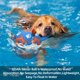 thumbnail image 5 of Pelota de fútbol para perros QDAN para perros medianos y grandes, azul y naranja, 5 of 7
