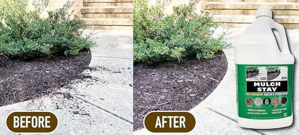 MULCH STAY Mulch Glue, Stone Glue & Preservative for Landscaping. 128 oz (2 PK) Preserves and - ALL Types of Mulch, Stone and Pine Straw, Lasts up to 2 yrs, Dries Clear, Rea