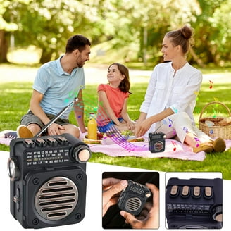 SunFlash Z-135 Portable Mini Bluetooth Speaker with AM/FM, Aux