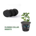 thumbnail image 2 of 70 piezas de Collares de clonación de jardín Yashi Bloque de Esponja para macetas de red 2 pulgadas, 2 of 5