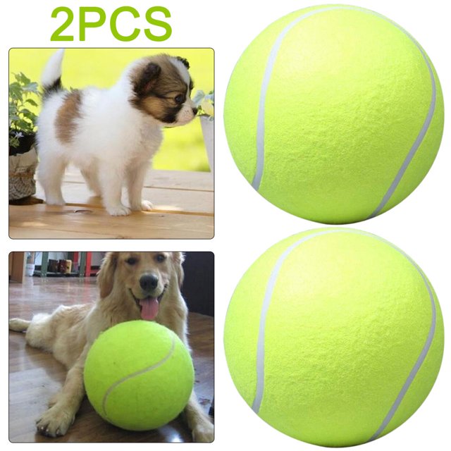 Pelota Tenis para Perro Mascota Btafrte 9 5 Pulgadas Diámetro 24cm Inflable