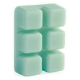 thumbnail image 2 of Escape to Paradise 2.5oz Wax Melt (Pack of 4), 2 of 5