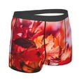 thumbnail image 3 of Bingfone Autumn Maple Leaves Men'S Underwear - Casual Stretch Boxer Briefs-Xx-Large, 3 of 9