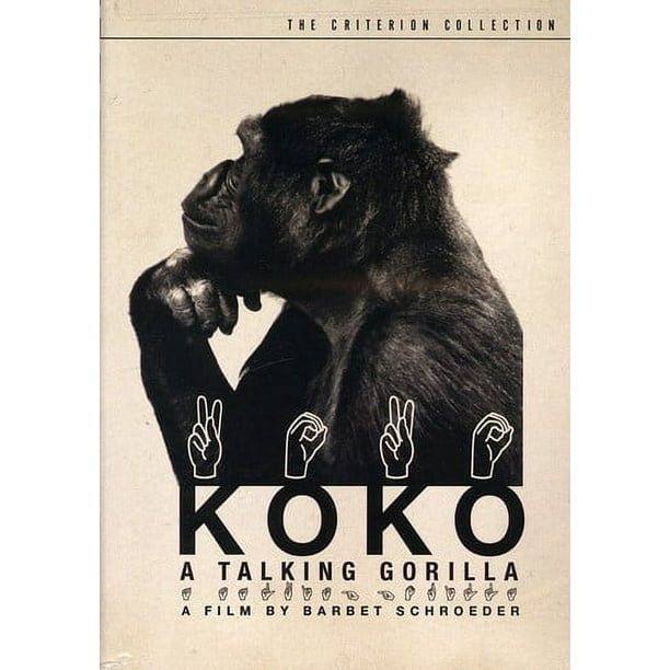 Koko: une Collection de Gorilles Parlants (Criterion) [Disque Vidéo Numérique]