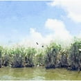 thumbnail image 3 of James, Nola 12x12 Black Modern Framed Museum Art Print Titled - Watercolor Black Hammock Lake, 3 of 5