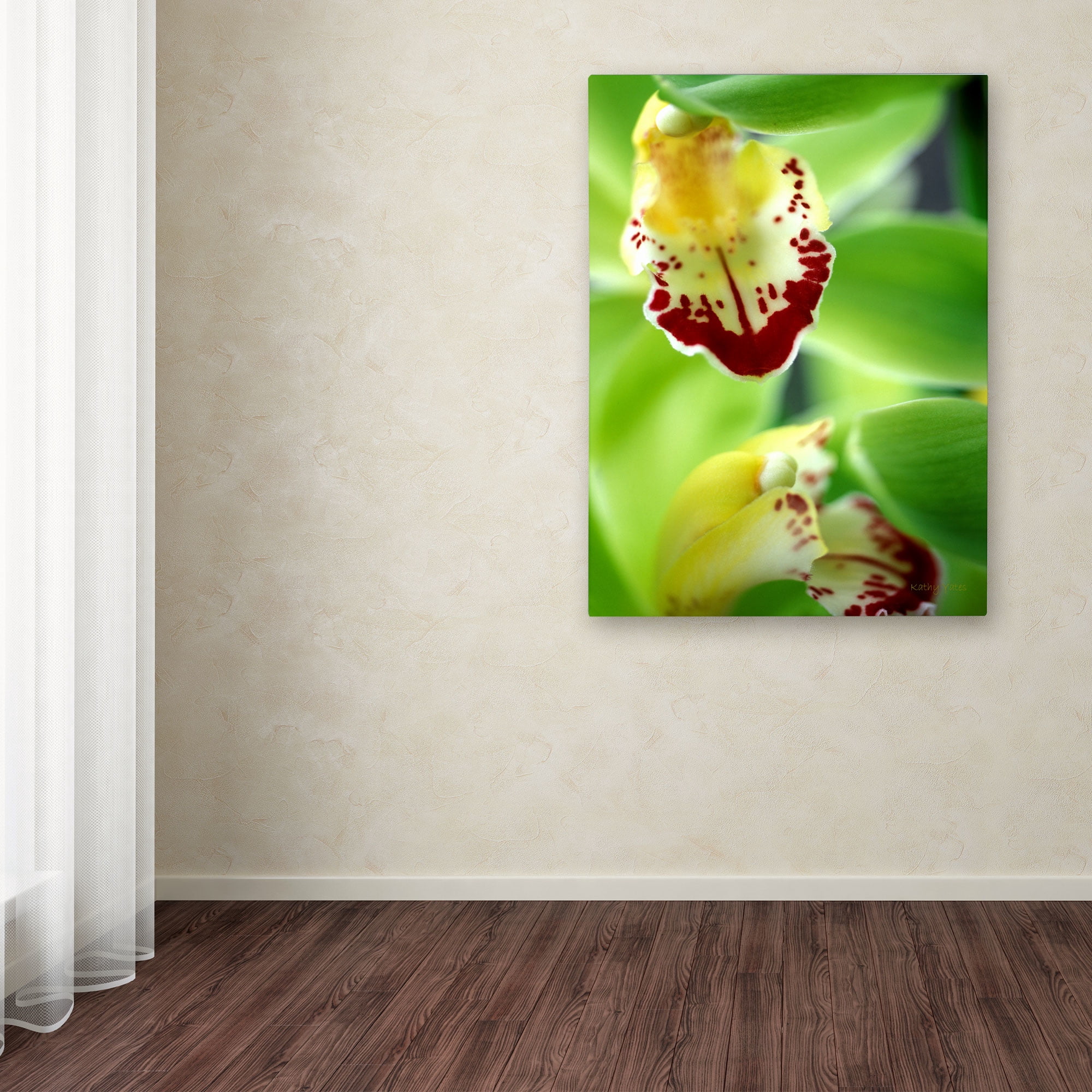 Trademark Fine Art "Cymbidium Seafoam Emerald Orchid" Canvas Art by Kathy Yates