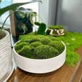 thumbnail image 2 of New Moss Bowl, Handmade Ceramic Bowl. 11" Artificial Moss Centerpiece for Home Decoration, Living Room, Office, 2 of 7