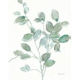 thumbnail image 2 of Nai, Danhui 15x18 White Modern Wood Framed Museum Art Print Titled - Transparent Branch Eucalyptus, 2 of 4