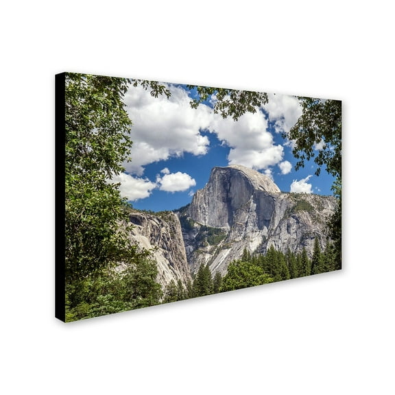Trademark Fine Art "Yosemite Half Dome" Canvas Art by Pierre Leclerc