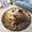 Bear, variant on Round Area Rug, Indian Non-Slip Floor Mat, Soft Washable Carpet for Living Room Bedroom Decor 24 Inch