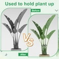 thumbnail image 4 of Uxcell 8pcs Plant Stem Support 4 Sizes Climbing Houseplant Stem Holder Stakes Reusable Flower Trellis Plant Stand for Outdoor Indoor, Black, 4 of 6