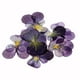 thumbnail image 3 of 1 piezas de tarjetas de invitación con flores y hojas secas de diferentes tamaños, formas y estilos. Flores violetas, 3 of 9