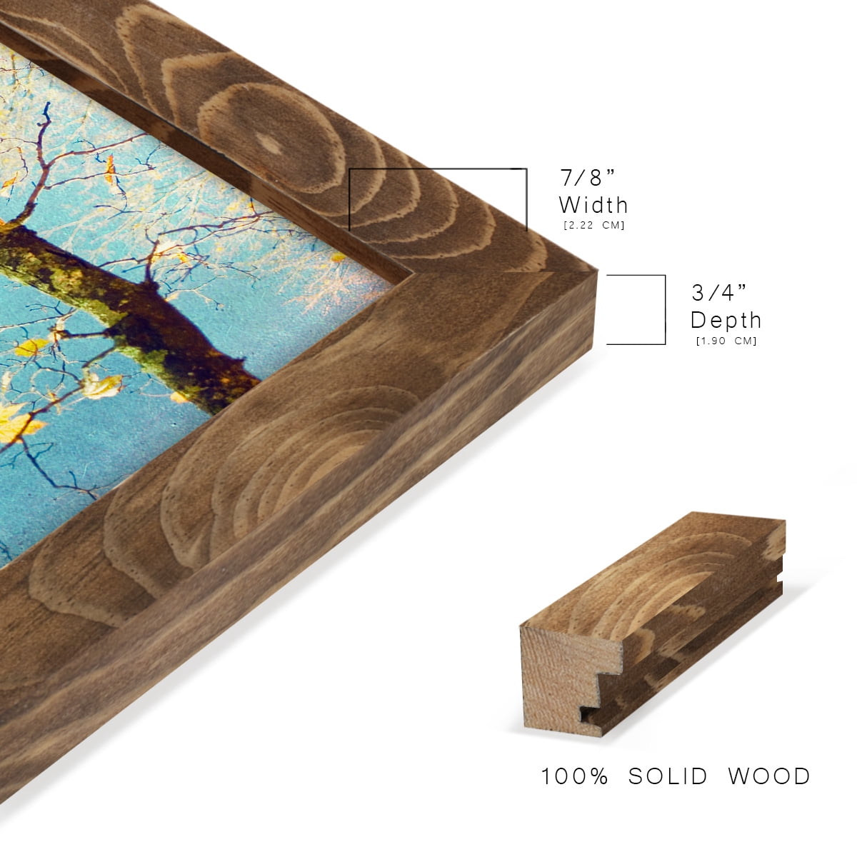 Autumn Tapestry III -Framed Print w/glass-Walnut