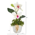 thumbnail image 2 of 13in. Mini Orchid Cattleya Artificial Arrangement in White Vase with Silver Trimming, 2 of 3
