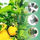 thumbnail image 4 of Soportes de Tallo de Flores de Plástico Verde, Paquete de 200 Grapas de Sujeción para Plantas para Orquídeas, Enredaderas y Entutorado de Pequeños Árboles Jóvenes—Accesorios de Jardín Duraderos para, 4 of 7
