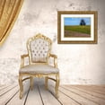 thumbnail image 3 of Fitzharris, Tim 14x11 Gold Ornate Wood Framed with Double Matting Museum Art Print Titled - Shooting Star Wildflower Meadow-La Panza Range-California, 3 of 4