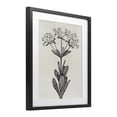thumbnail image 3 of Stupell Industries Classic Cuts Botanicals Black Framed Print Under Glass design by Karen Smith, 16 x 13, 3 of 10