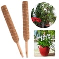 thumbnail image 4 of Poste De Musgo Para Plantas Trepadoras Postes De Fibra De Coco Soporte De Plantas De Interior De 40 Cm Para Crecer Hacia Arriba Soporte De Plantas Para Plantas De Monstera Plantas De Dinero Inevent HA036325-00, 4 of 6