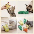 thumbnail image 5 of Pawsible 5 Pack Cactus Cat Toy Set, 100% Premium Cat Herb Filling, Natural Stimulation for Cats, Durable for Teething, Perfect Kitten Toy, 5 of 9
