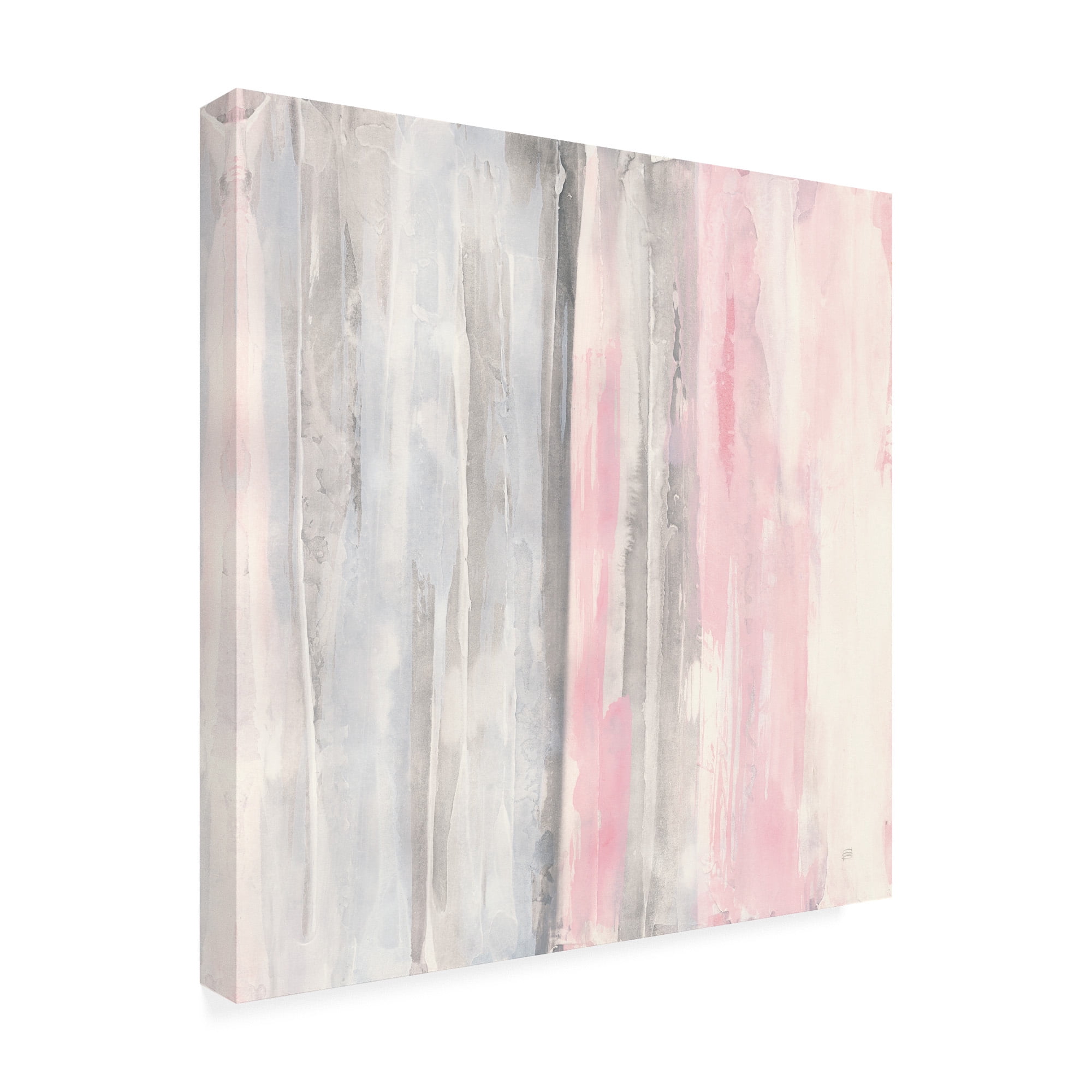 Trademark Fine Art 'Whitewashed Blush I Pink Gray' Canvas Art by Chris Paschke