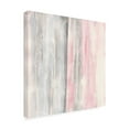 thumbnail image 2 of Trademark Fine Art 'Whitewashed Blush I Pink Gray' Canvas Art by Chris Paschke, 2 of 3
