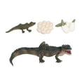 thumbnail image 1 of Modèle d'Uf Craquelé, Modèle de Cycle de Croissance Outil d'Apprentissage Biologique pour Enfants, 1 of 7