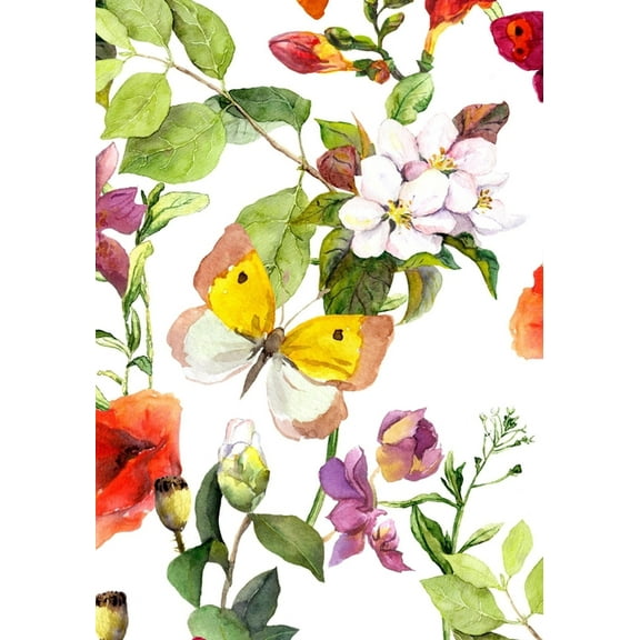 Nature Observation North Indiana Trees & Wildflowers, (Paperback)