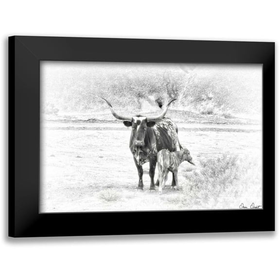 Drost, David 14x11 Black Modern Framed Museum Art Print Titled - Longhorn and Baby