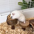 thumbnail image 5 of Hamster Food Bowl Chewable Applewoods Toy Easyly to Clean Small Animal Feeding Bowl And Teeth Grinding Toy, 5 of 5
