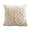 Complexion, variant on Throw Pillow Covers 20x20 Inch, Soft Plush Decorative Square Pillowcases, Farmhouse Holiday Cushion Covers for Couch Sofa Living Room Bedroom Outdoor Home Decor