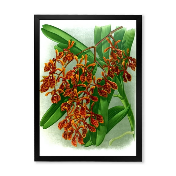 Designart 'Flowers Retro II' Farmhouse Framed Art Print