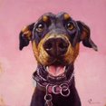 thumbnail image 2 of Heffernan, Lucia 15x15 Gold Ornate Wood Framed with Double Matting Museum Art Print Titled - Follow Your Nose 12, 2 of 4