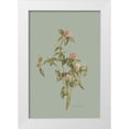 thumbnail image 1 of Murdock, Ramona 11x14 White Modern Wood Framed Museum Art Print Titled - Wild Clover, 1 of 4