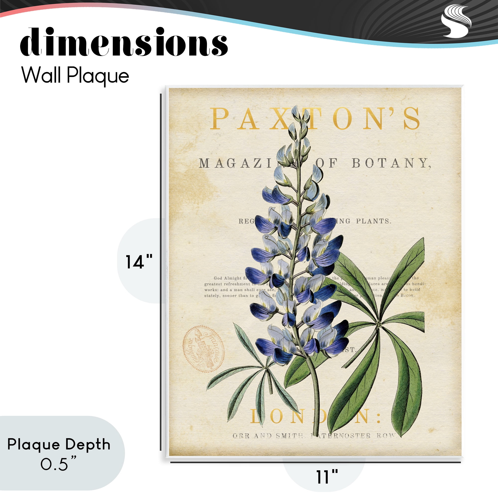 Stupell Industries Natural Botany Lupine Wall Plaque Art, design by Susan Arnot