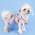 thumbnail image 3 of Pet Clothing Decorative Striped Stylish Spring Summer Small Dog Puppy Cat Princess Sundress, 3 of 5