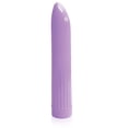 thumbnail image 4 of Sexy Gift Set Bundle of Pastel Vibes, Lavender and Icon Brands The Silver Starter, Bejeweled Stainless Steel Plug, 4 of 5