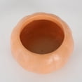 thumbnail image 5 of Mskk 7.1" Vintage Pumpkin Shape Planter Pot, Terracotta & Off White Flower Vase, Fall Halloween Decorative Container for Succulents Porch Table Decor, 5 of 5