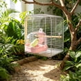 thumbnail image 6 of FastXmas Bird Cage Bath Hanging Parrot Bath Tub Water Shower Food Feeder Holder Tray Bird Bath Supplies for Small Birds Canary Budgies Cockatiel Lovebirds (Pink), 6 of 6