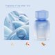 thumbnail image 3 of Aromaterapia para coche, perfume para coche, aromaterapia para coche, sensación de hogar premium, suministros de aromaterapia para coche, aromaterapia con flores, espacio fresco, 3 of 5