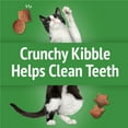 thumbnail image 4 of Purina Friskies Party Mix Gravylicious Crunch Turkey & Gravy Flavours, Cat Treats 170g, 4 of 9