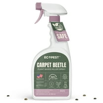 Carpet Beetle Spray – Natural, Plant-Based Killer for Carpet Beetles, Eggs & Nymphs | Fabric & Furniture-Safe Home Treatment for Indoor Use | Child & Pet Safe, Low Odor, Eco-Friendly | 22 oz