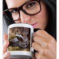 thumbnail image 2 of 3dRose, Baby Eastern Hognose Snake - NA02 DNO0497 - David Northcott, 11oz Two-Tone Black Mug, 2 of 7