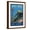 Brown Frame, variant on Art.com Space Needle and Monorail, Seattle, Washington Art Print by Lantern Press, Brown Frame Wall Art, 17" x 23"