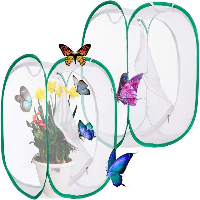 2 Piezas Plegable Insecto Mariposa Habitat Jaula Grande Plegable Caterpillar Habitat Pop Up,11 Feliz Sencillez